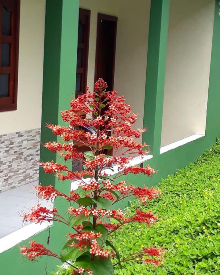 Wikungo Hotel Puerto Nariño Dış mekan fotoğraf