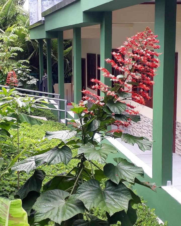 Wikungo Hotel Puerto Nariño Dış mekan fotoğraf